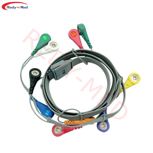 Compatible With Biomedical/BI Holter Cable For 9800,10 Lead